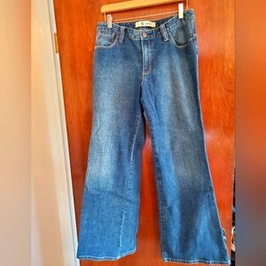 EC Vintage 12R Gap Low Rise Stretch Flare Jeans